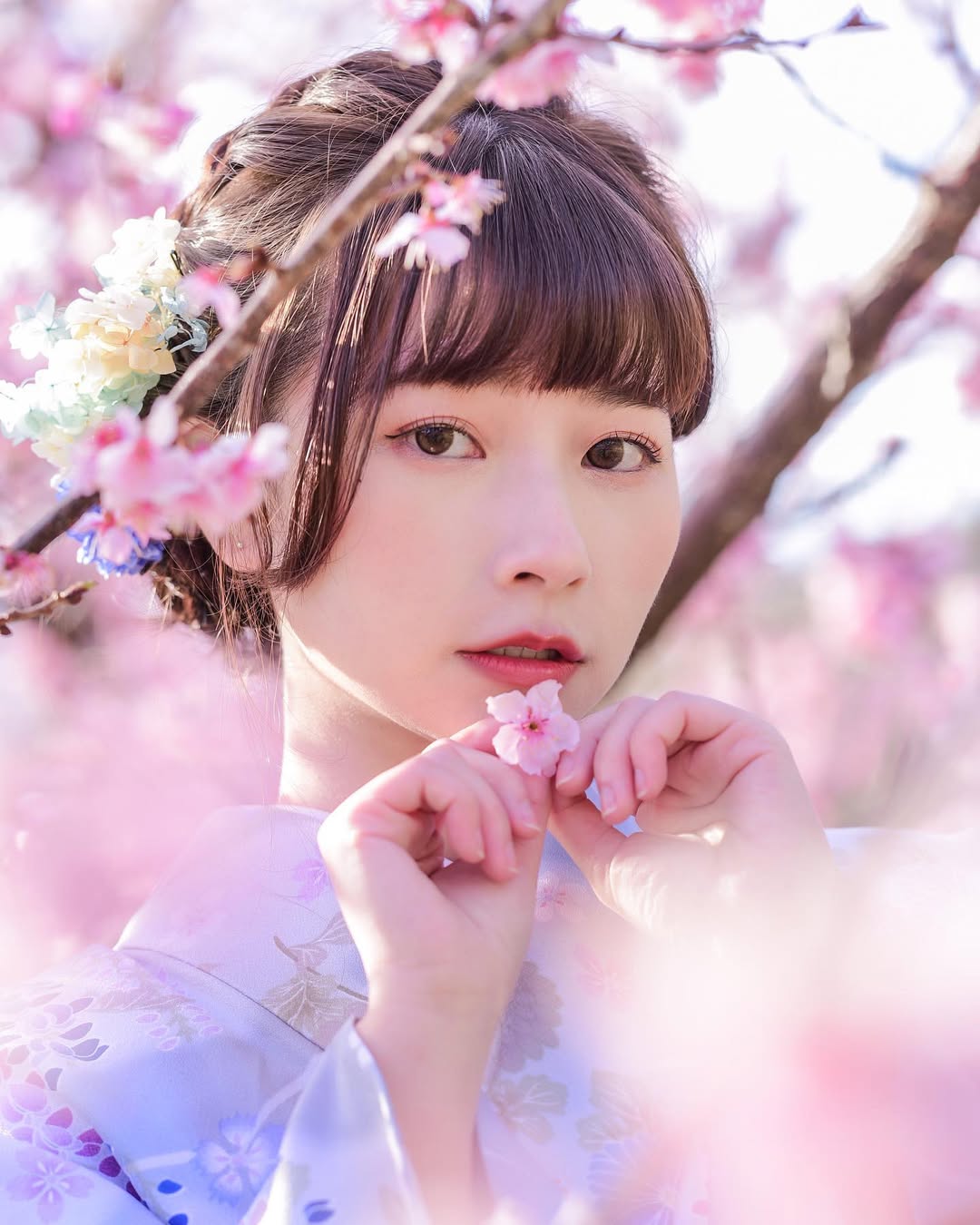 【正妹】陈QQ 樱花和服美照，绝不掩饰自己的优雅！