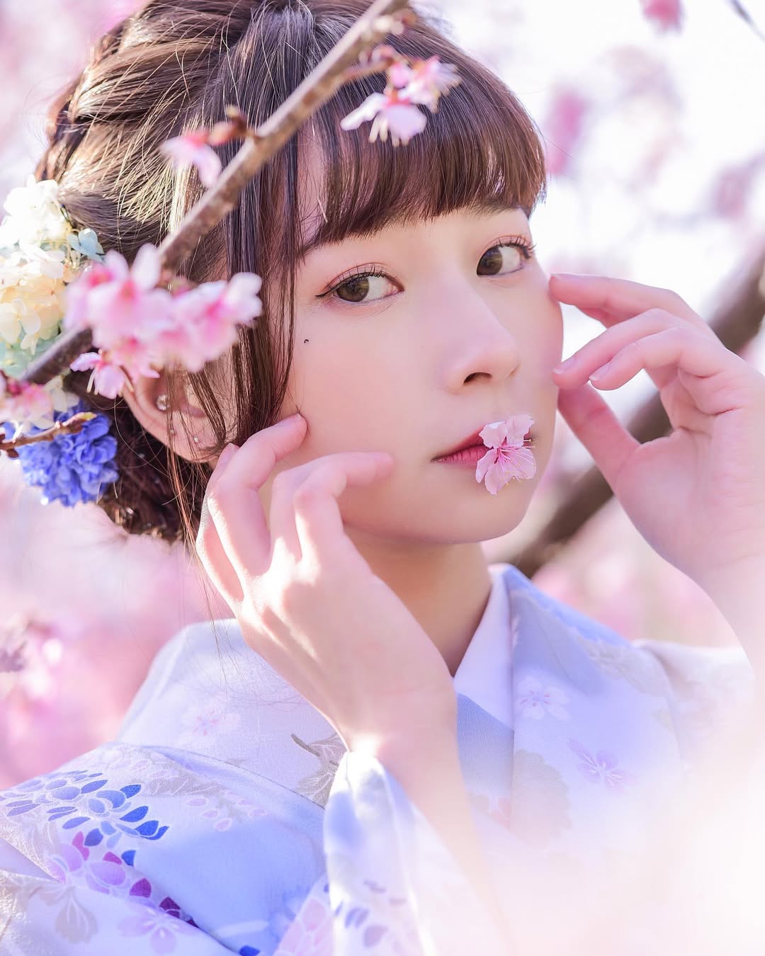 【正妹】陈QQ 樱花和服美照，绝不掩饰自己的优雅！