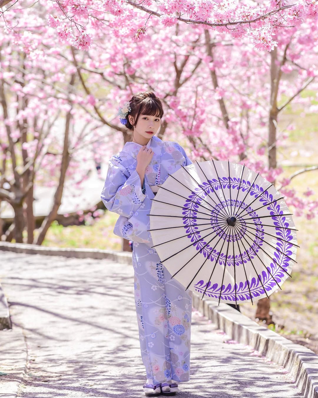 【正妹】陈QQ 樱花和服美照，绝不掩饰自己的优雅！