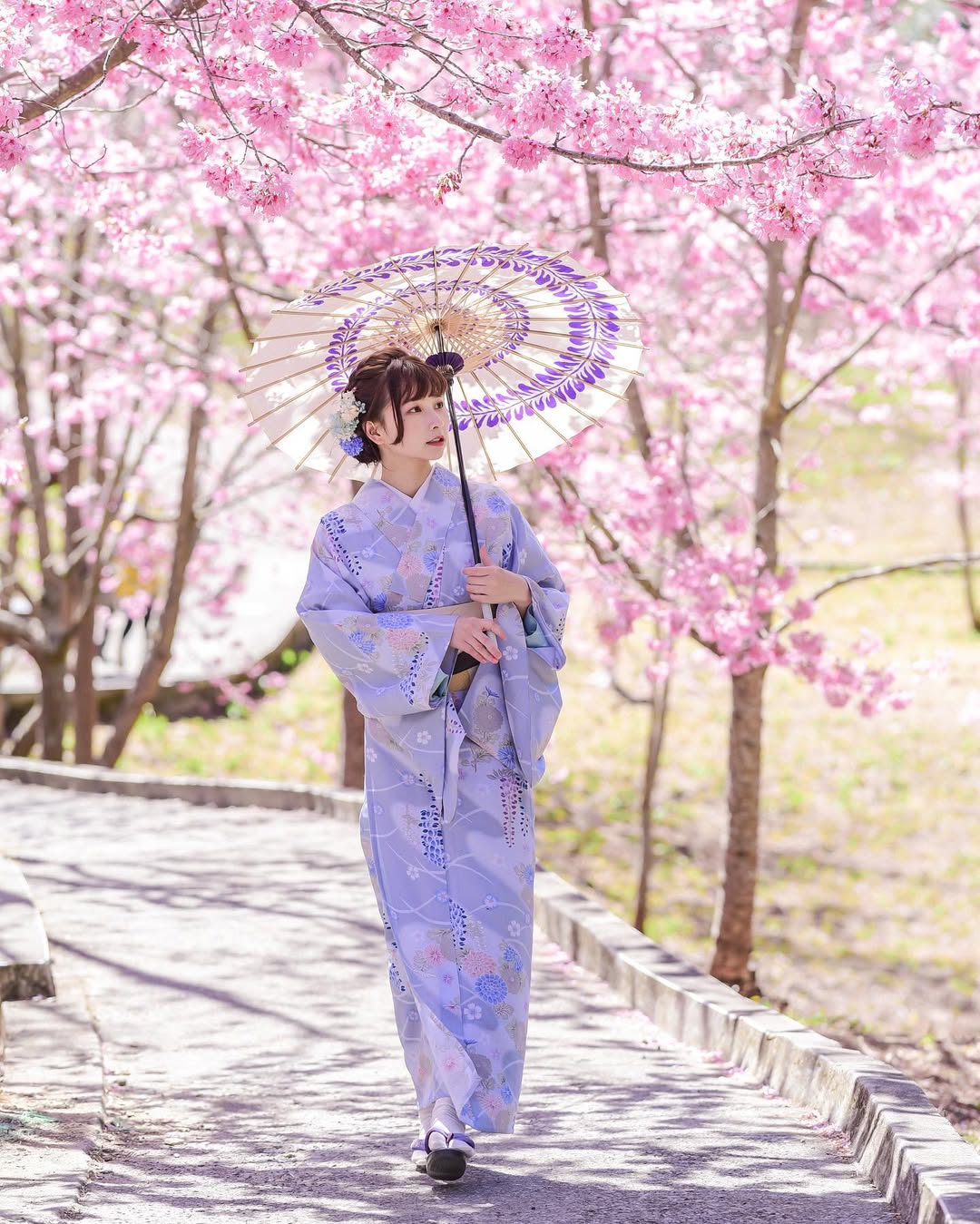 【正妹】陈QQ 樱花和服美照，绝不掩饰自己的优雅！