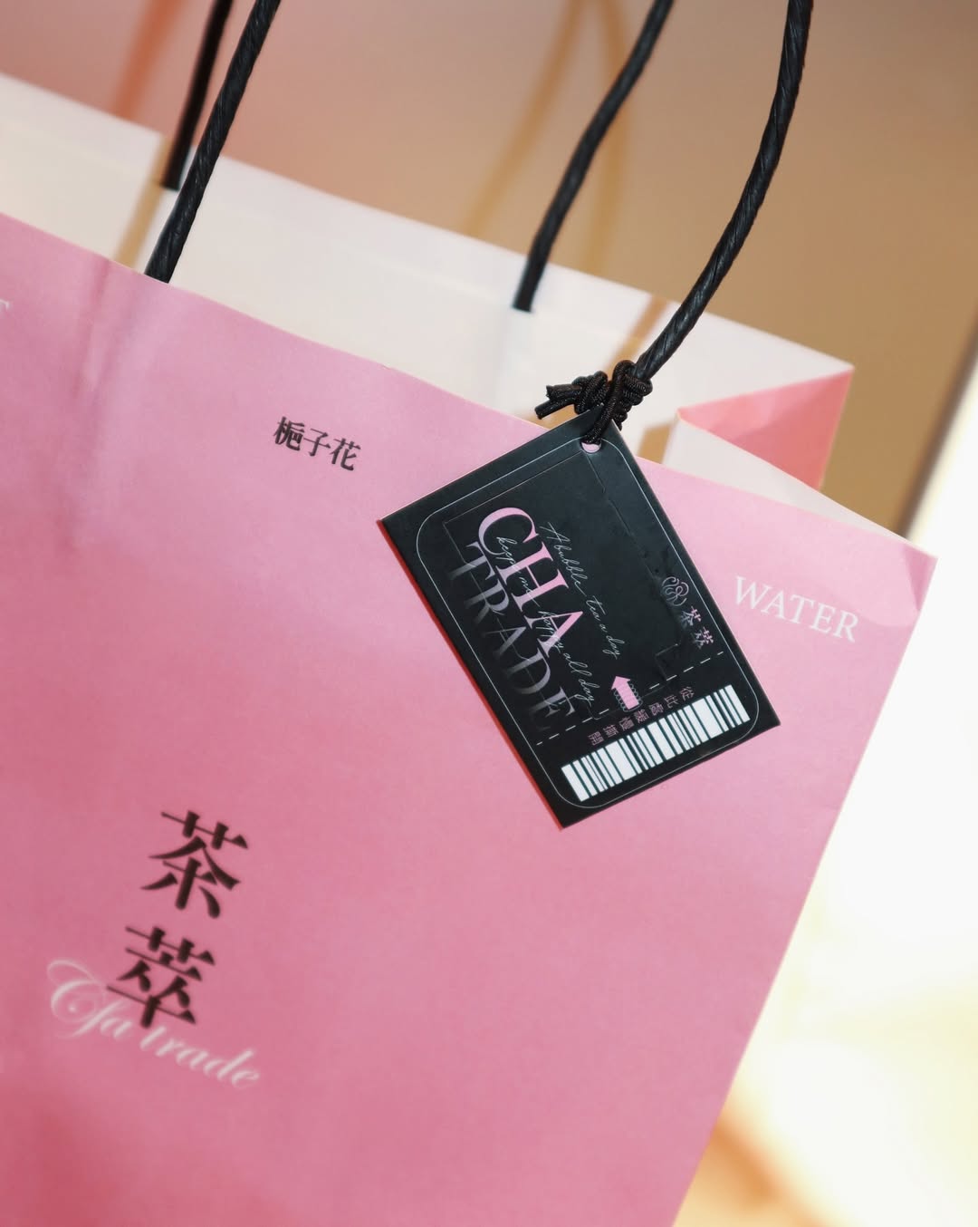 【正妹】Chubby糖 可爱装扮奶茶店拍照，一股清新而充满美学宣言！