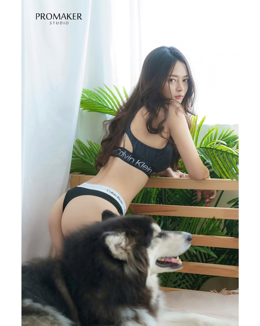 【正妹】A栗CK内衣与宠物狗写真，那份宁静与清凉所感染！