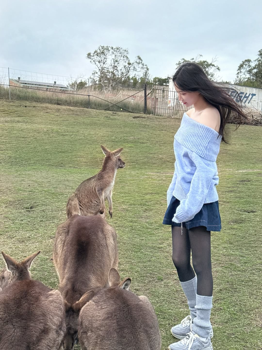 【正妹】Asuna 与袋鼠的微笑瞬间，阳光下的邂逅！