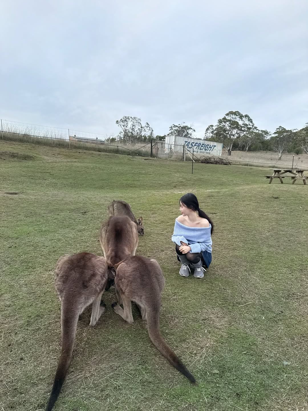 【正妹】Asuna 与袋鼠的微笑瞬间，阳光下的邂逅！
