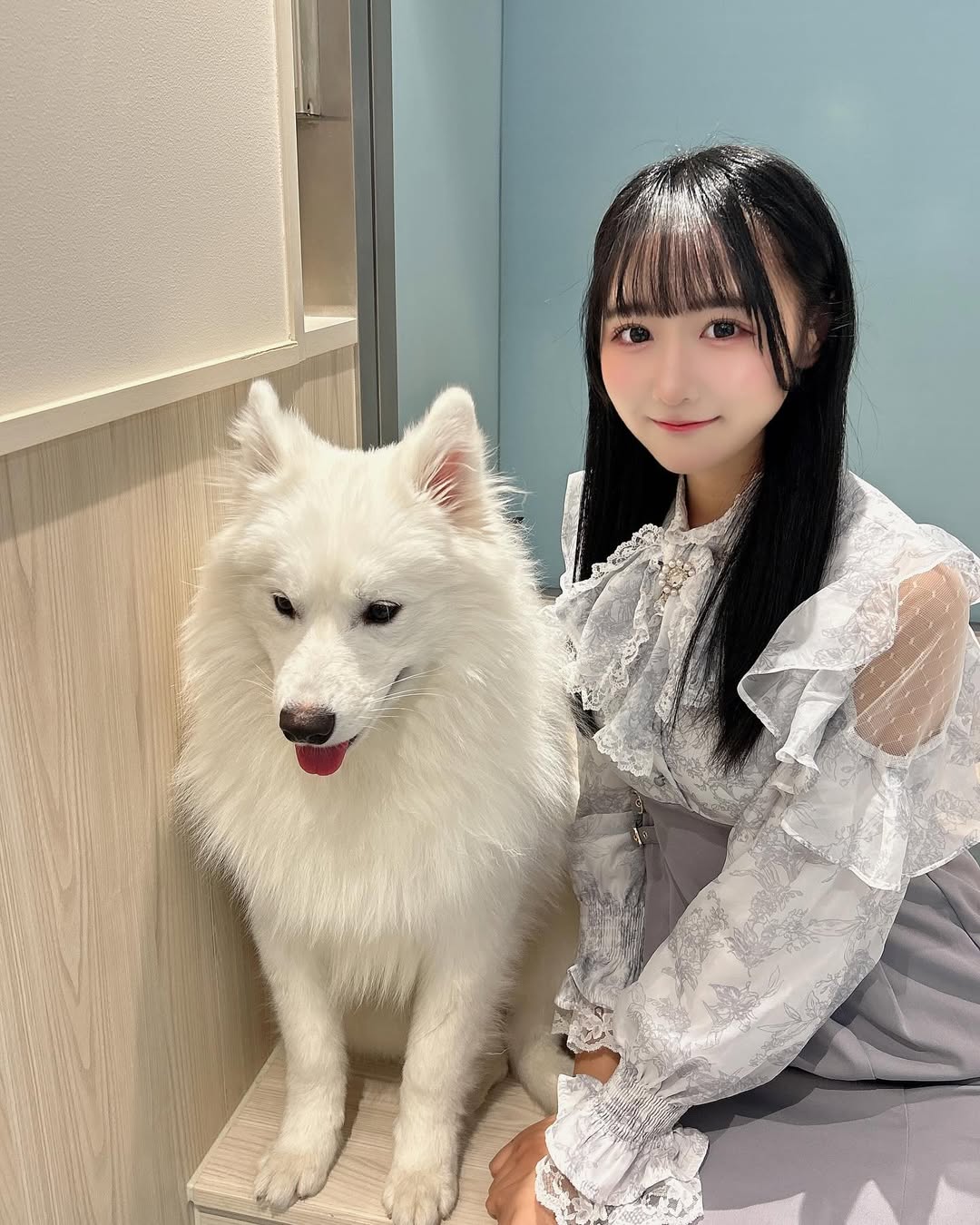 【正妹】本多もか与宠物狗的温暖合照，好看不仅仅靠外表！