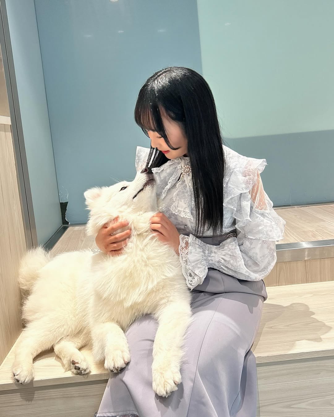 【正妹】本多もか与宠物狗的温暖合照，好看不仅仅靠外表！