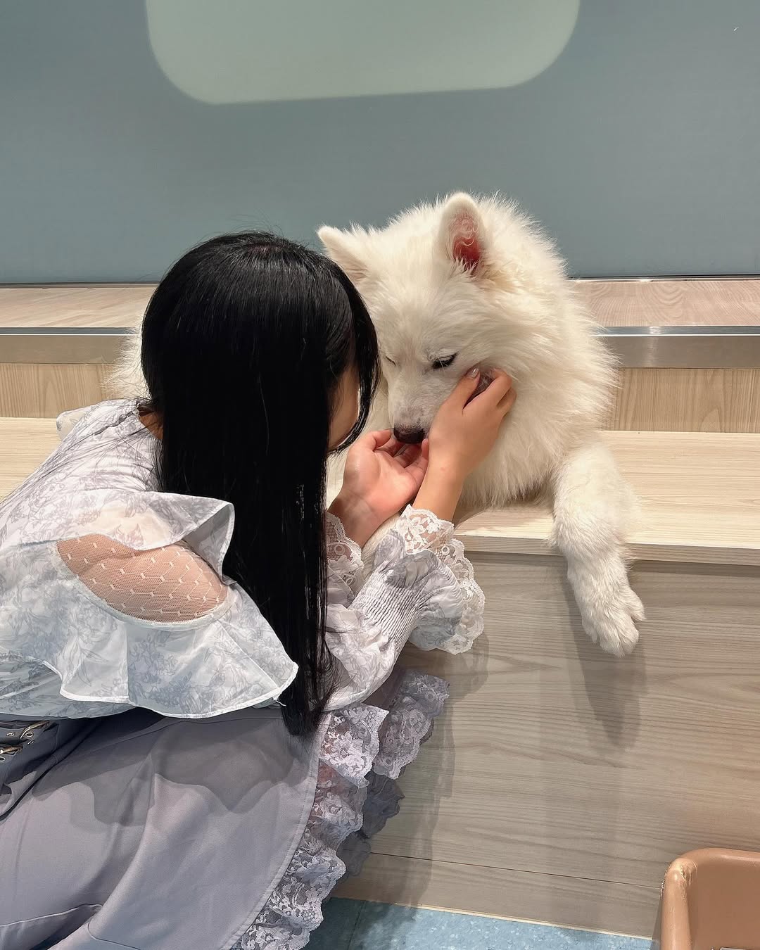 【正妹】本多もか与宠物狗的温暖合照，好看不仅仅靠外表！