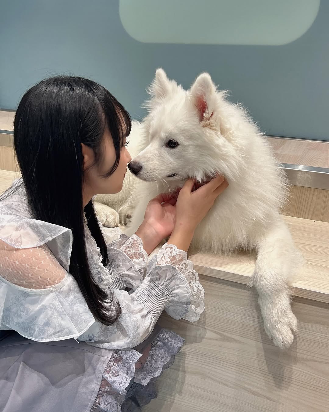 【正妹】本多もか与宠物狗的温暖合照，好看不仅仅靠外表！