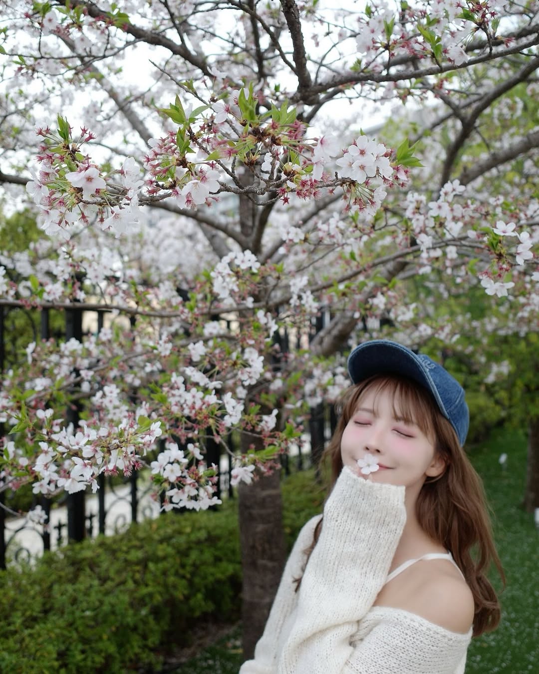 【正妹】三上悠亚樱花树下的美照，淡淡的微笑一个温柔的回眸！