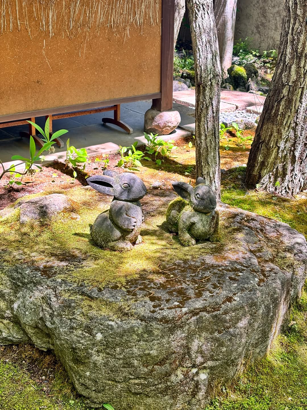 【正妹】圆圆Donggeuran浴衣山间温泉美照，浴衣造型惊艳登场！