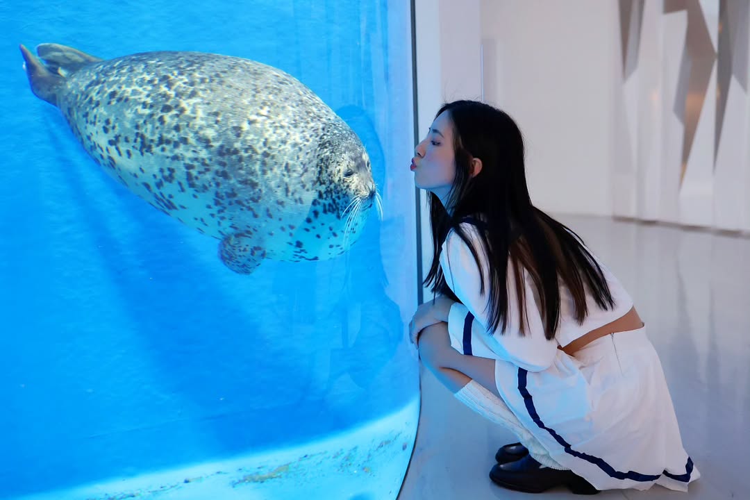 【正妹】溜溜逛海洋公园美照二，波光粼粼海风轻抚脸颊！