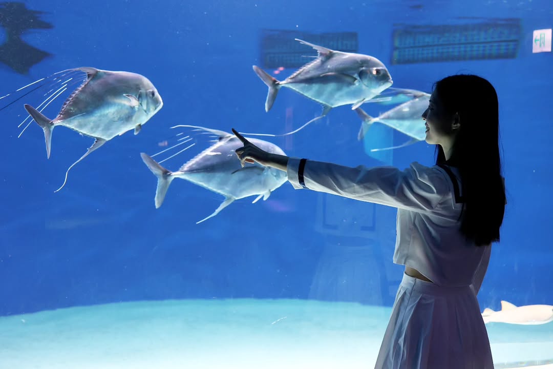 【正妹】溜溜逛海洋公园美照二，波光粼粼海风轻抚脸颊！