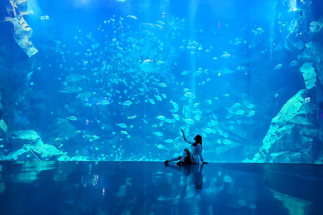 【正妹】溜溜逛海洋公园美照二，波光粼粼海风轻抚脸颊！