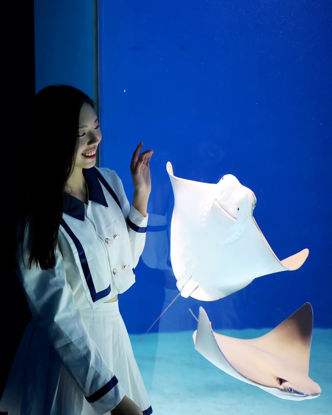 【正妹】溜溜逛海洋公园美照三，美景中最亮眼的主角！