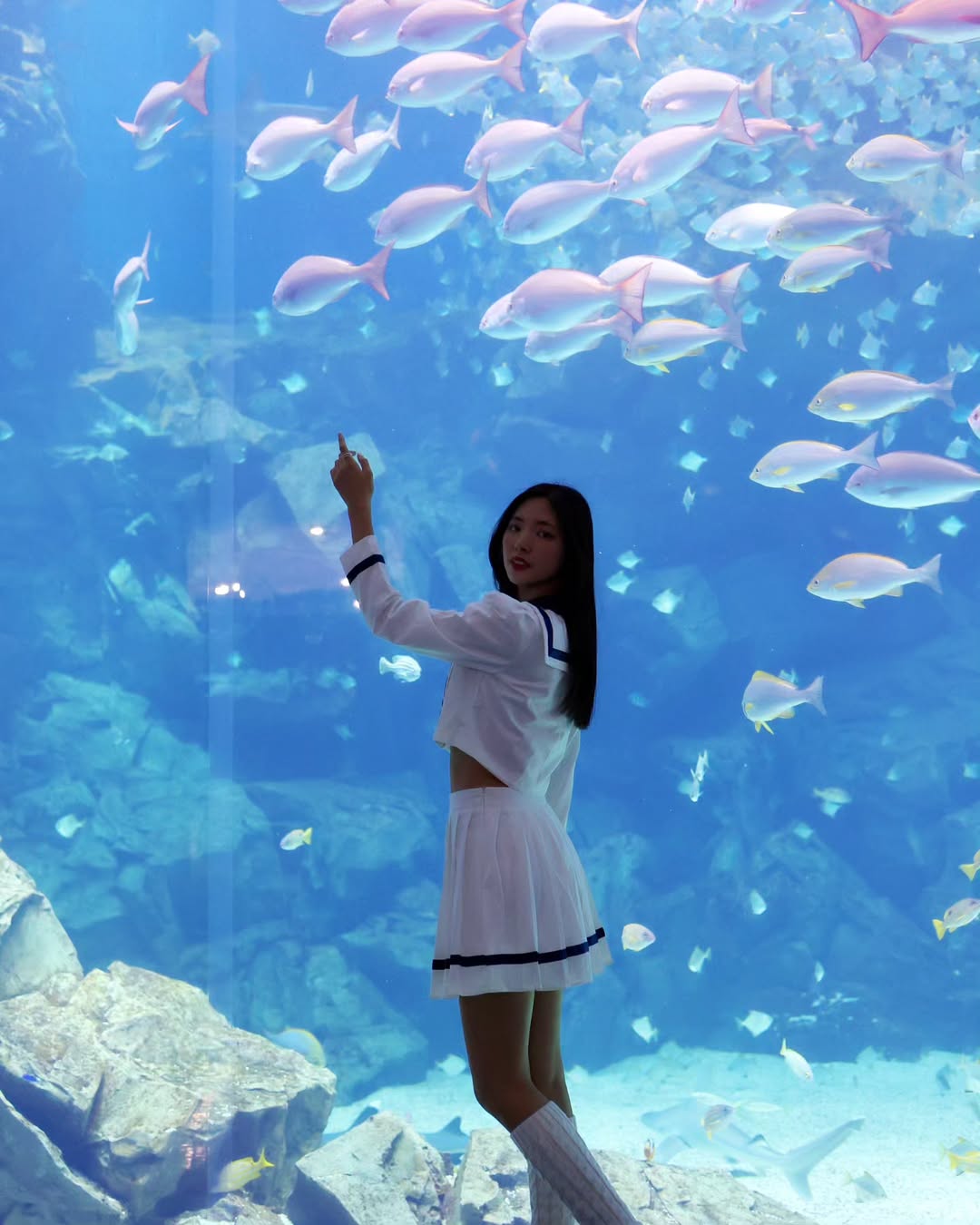 【正妹】溜溜逛海洋公园美照三，美景中最亮眼的主角！