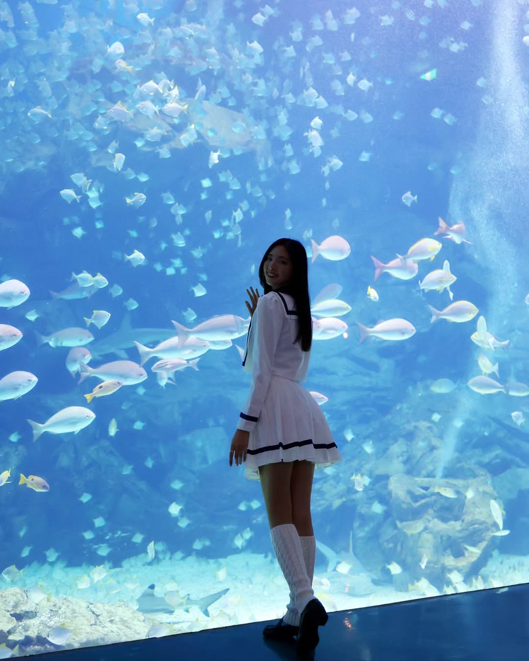 【正妹】溜溜逛海洋公园美照三，美景中最亮眼的主角！