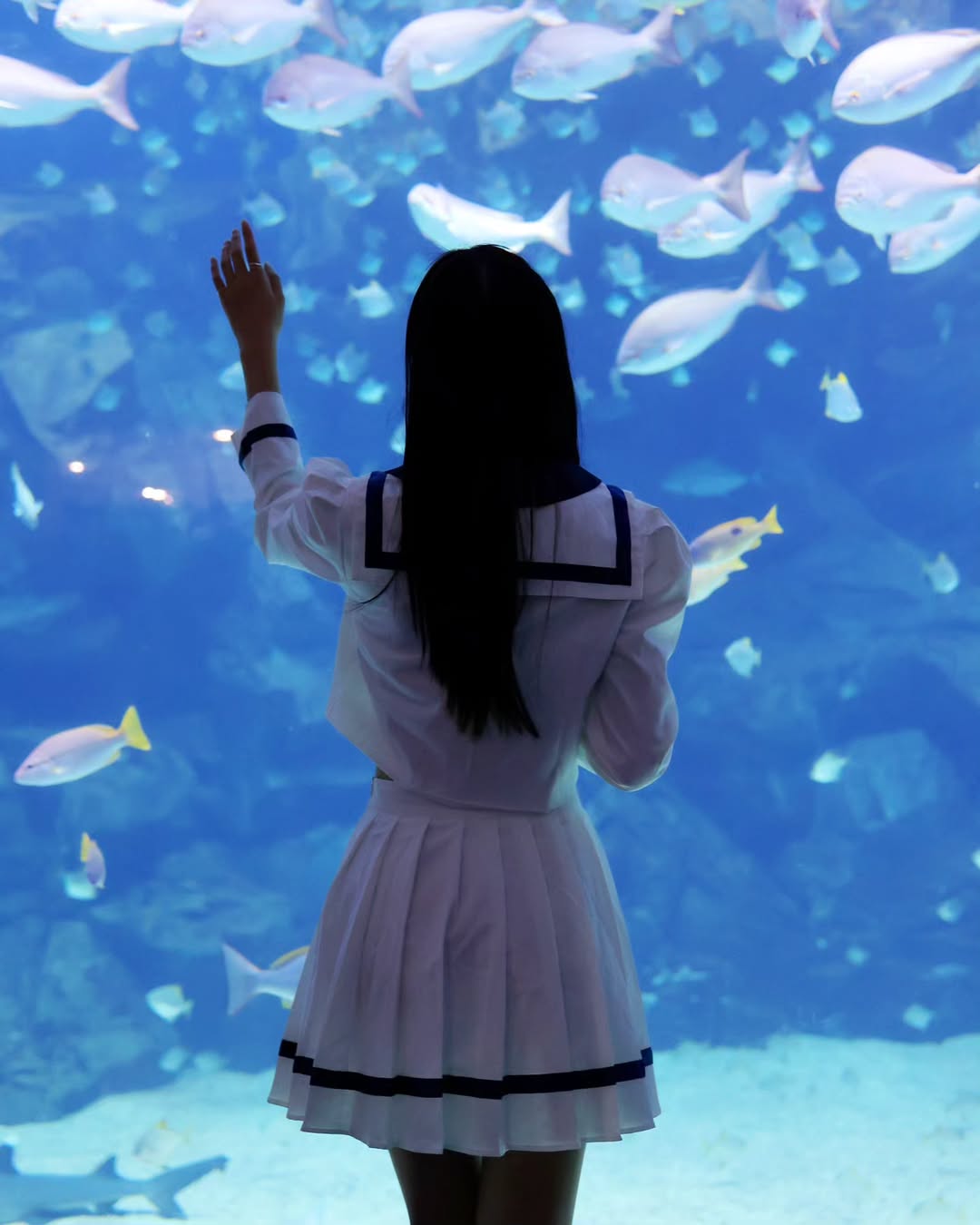 【正妹】溜溜逛海洋公园美照三，美景中最亮眼的主角！