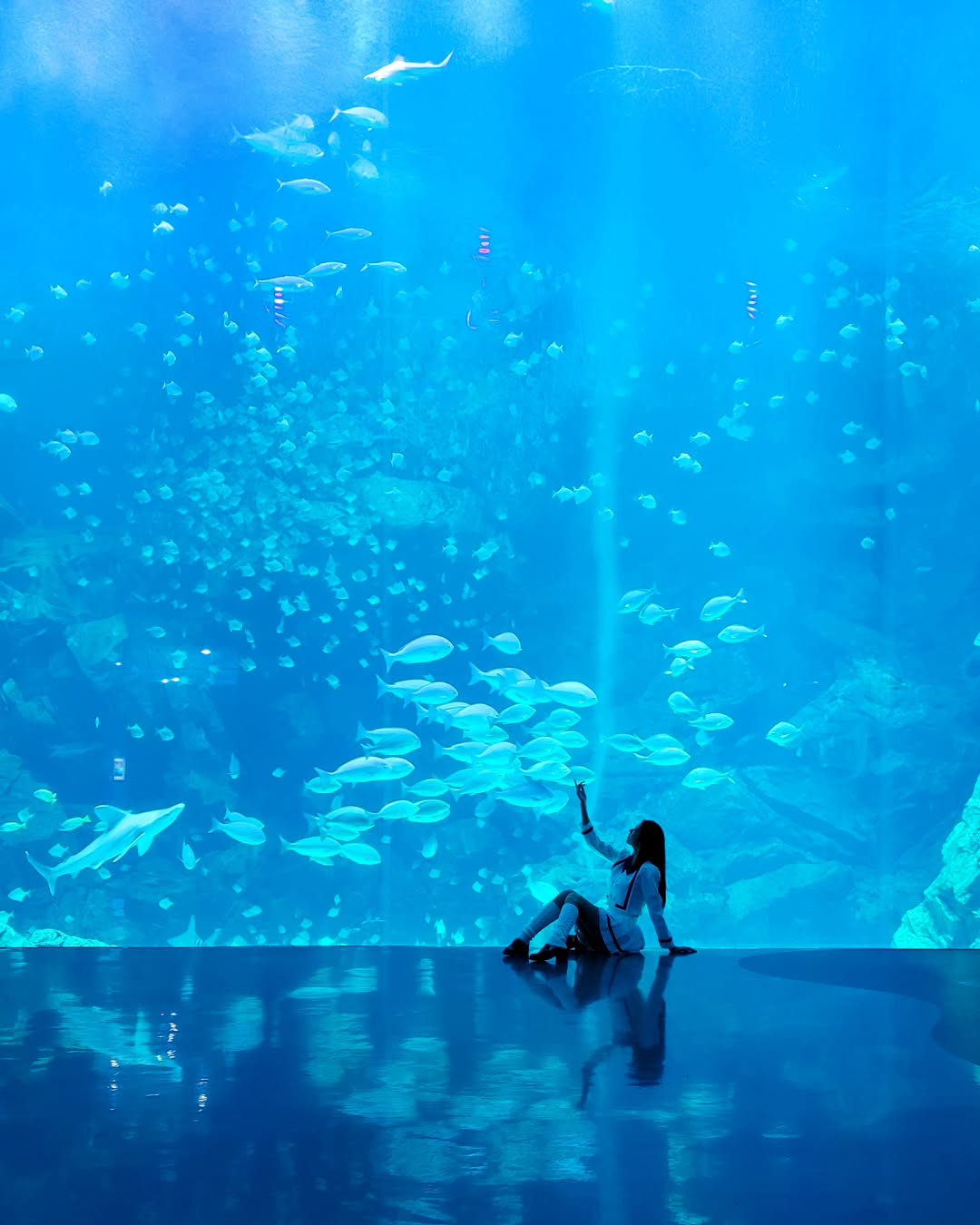 【正妹】溜溜逛海洋公园美照三，美景中最亮眼的主角！