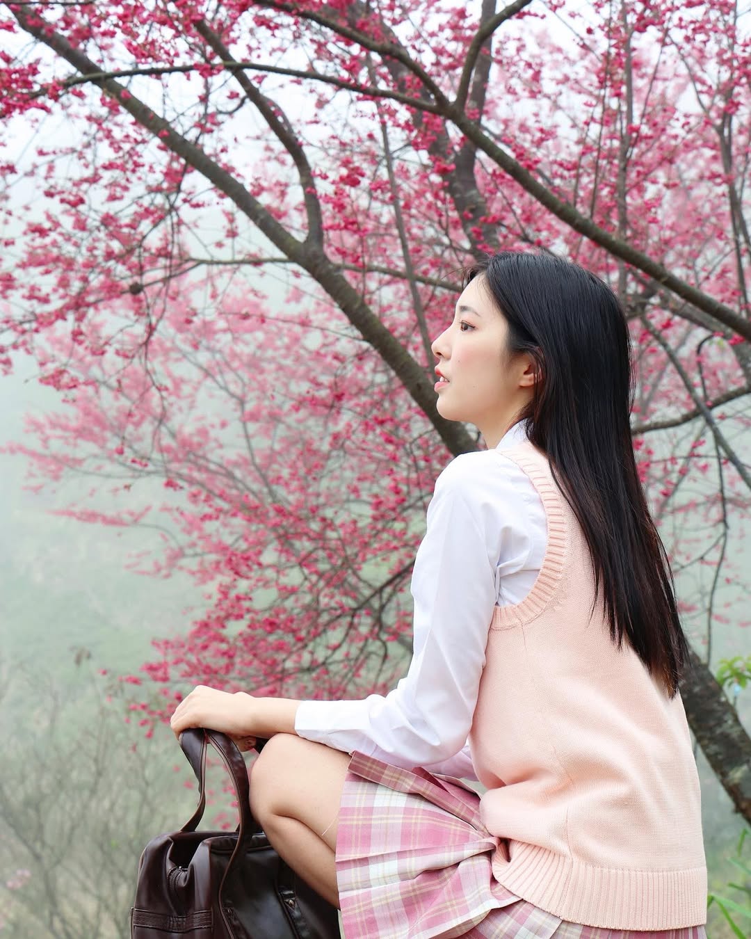 【正妹】溜溜JK制服樱花树下美照，纯真的眼神超美！