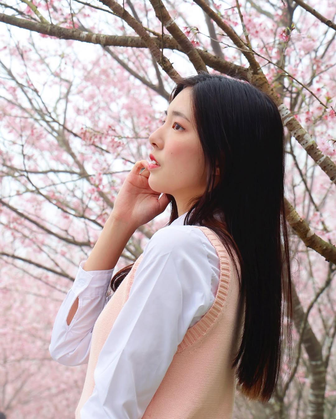 【正妹】溜溜JK制服樱花树下超美，裙摆在微风中轻轻摇曳！